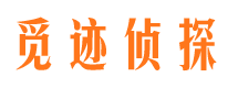 岱岳调查取证